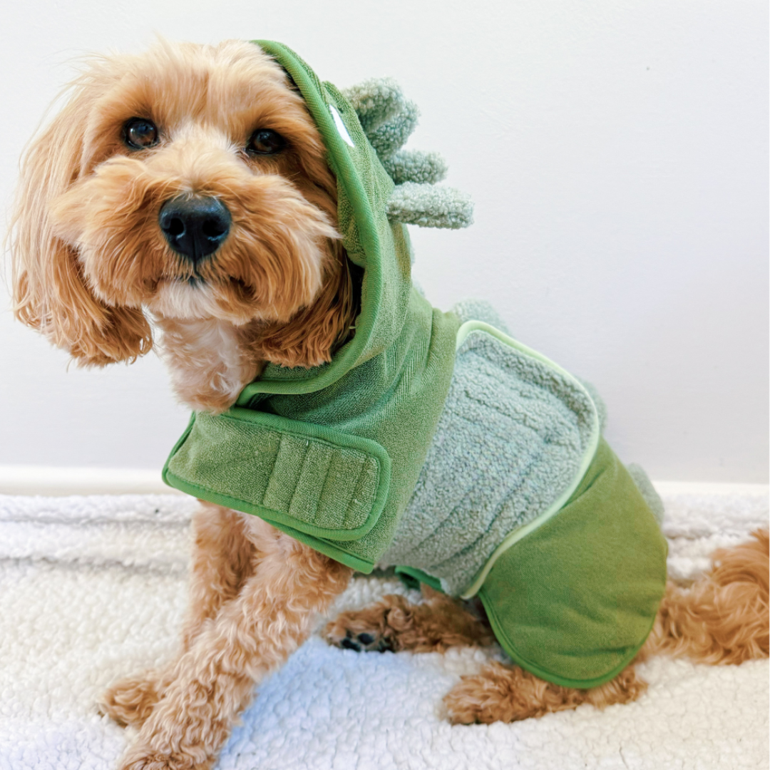 Dinosaur Bathrobe