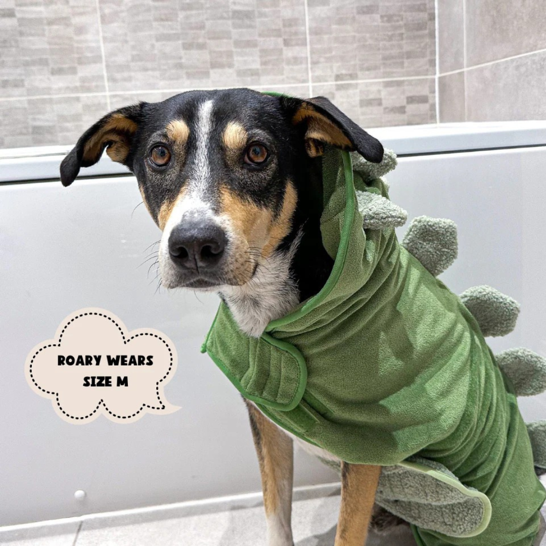 Dinosaur Bathrobe