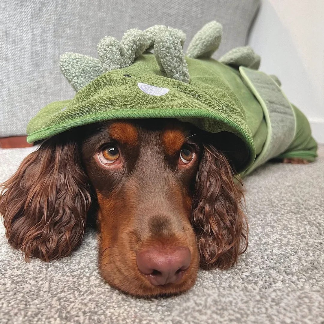 Dinosaur Bathrobe