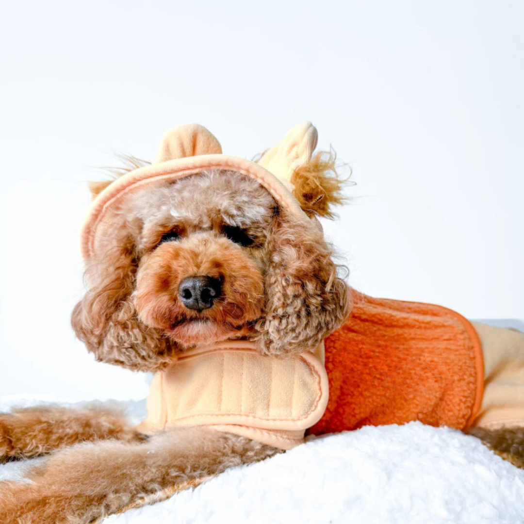 Lion Bathrobe