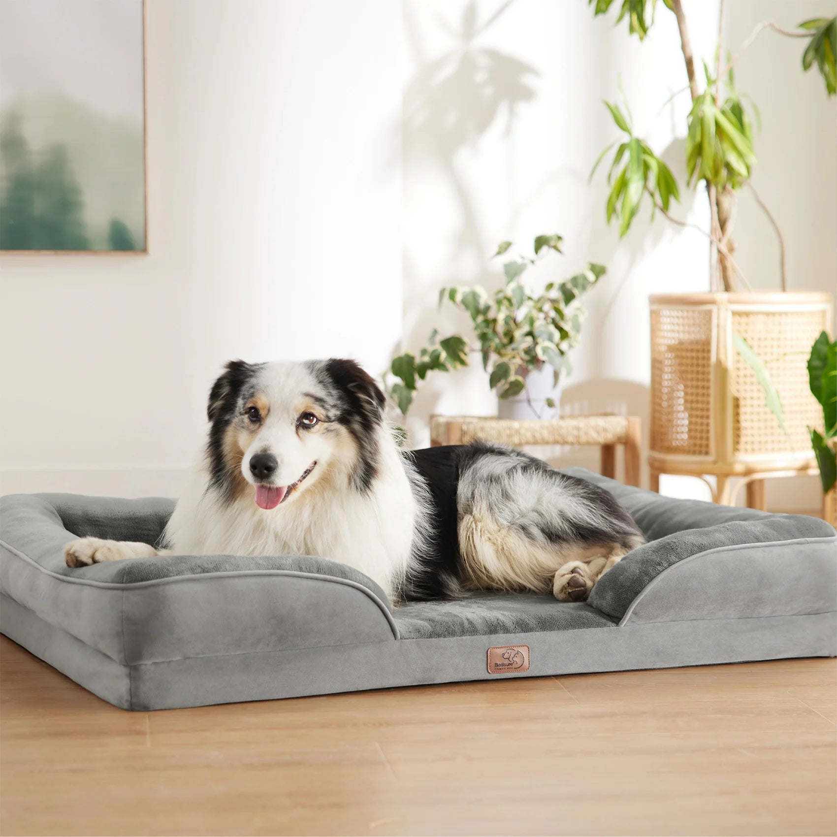 Orthopedic Dog Bed