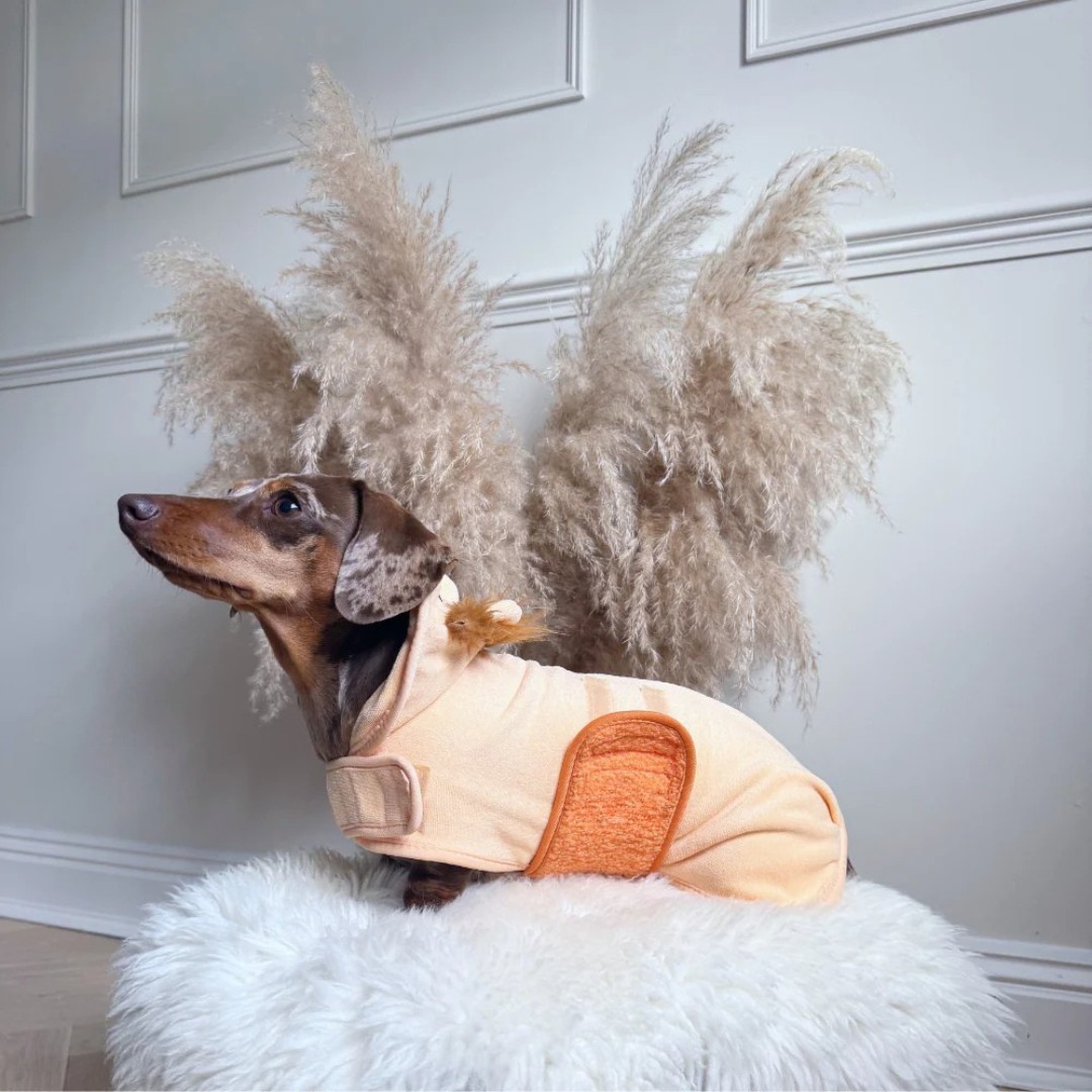 Lion Bathrobe