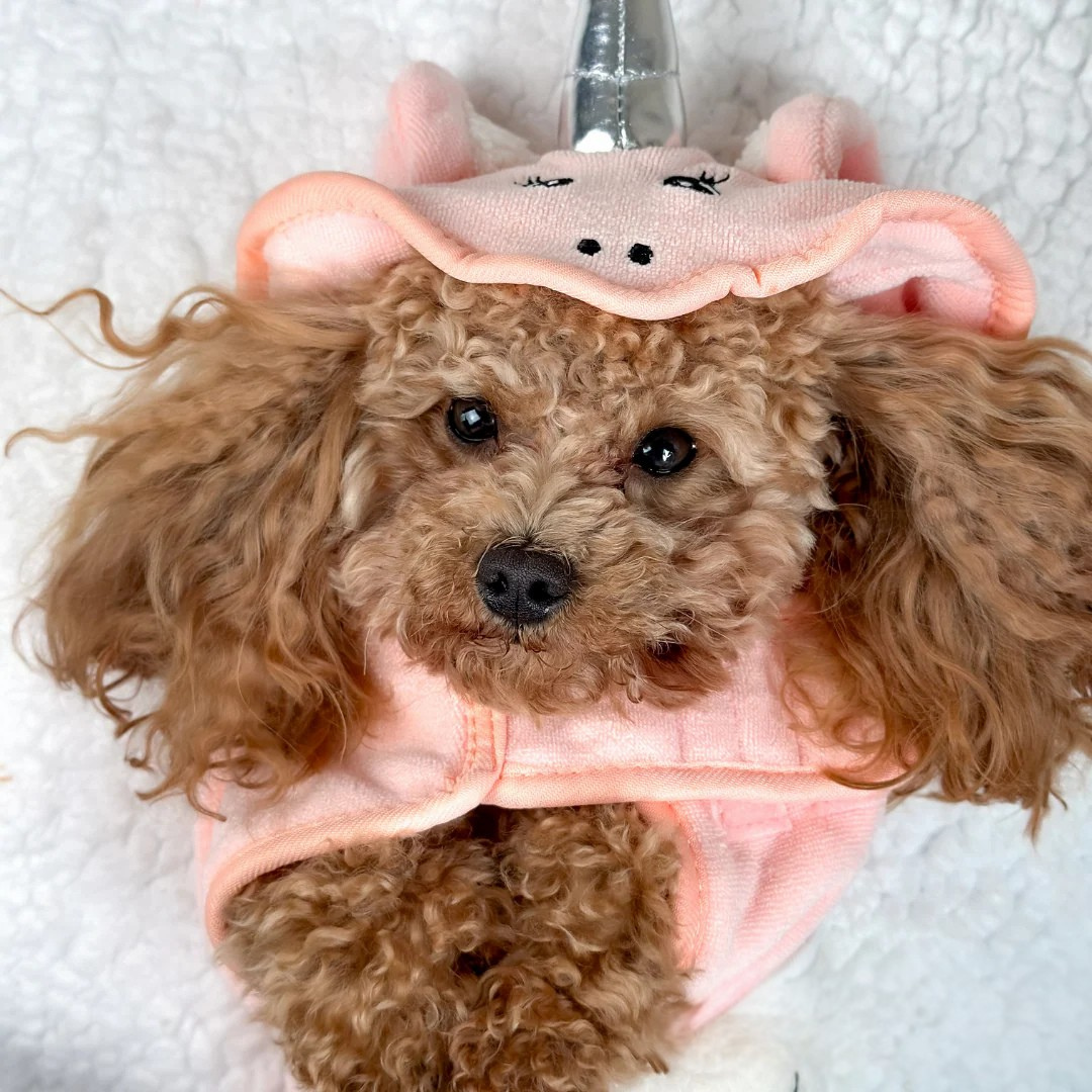 Unicorn Bathrobe