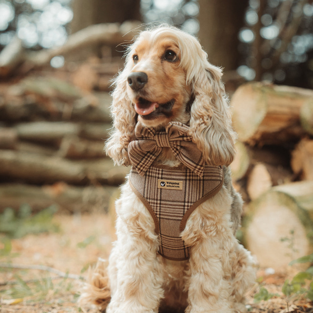 London Plaid