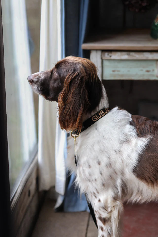 Black Soul Collar