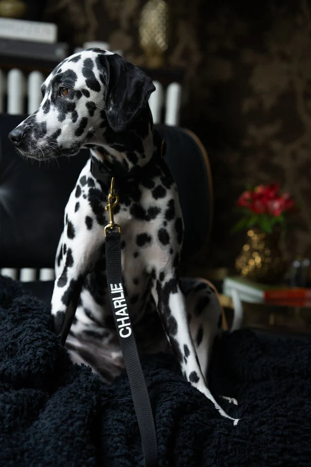 Black Soul Collar