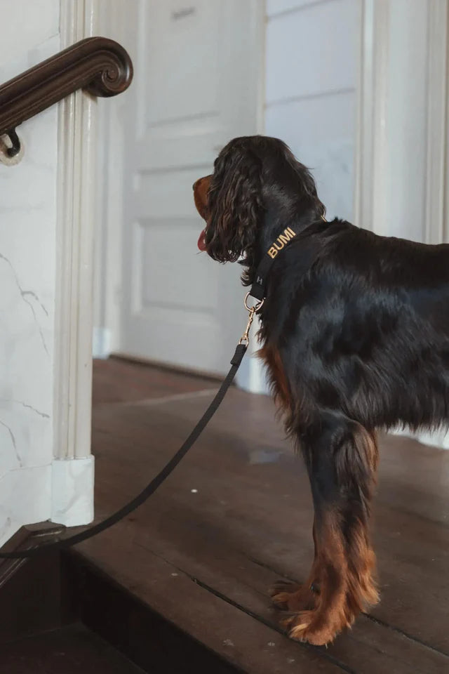 Black Soul Collar