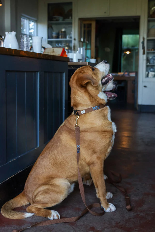 Brown Collar