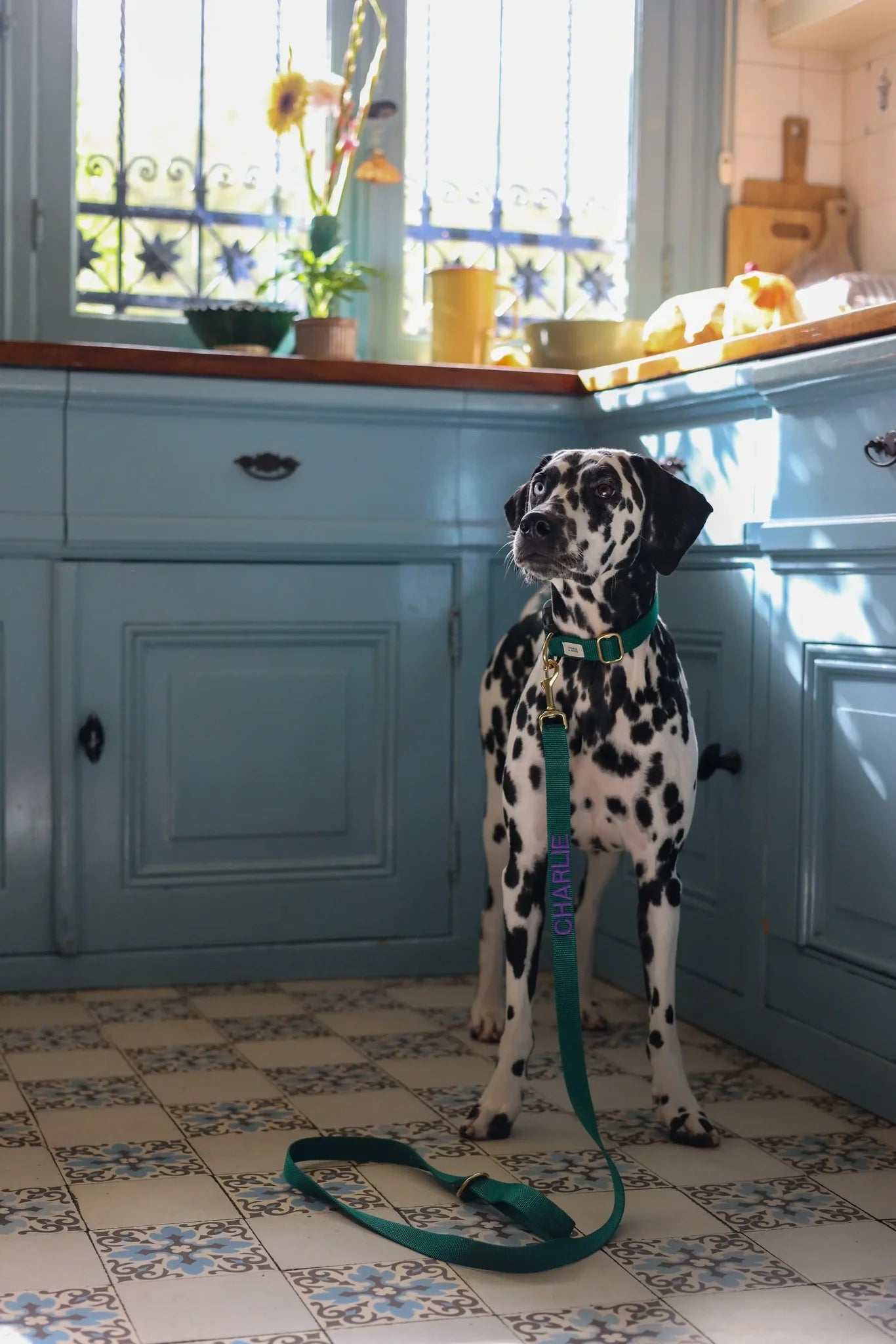 Hunting Green Collar