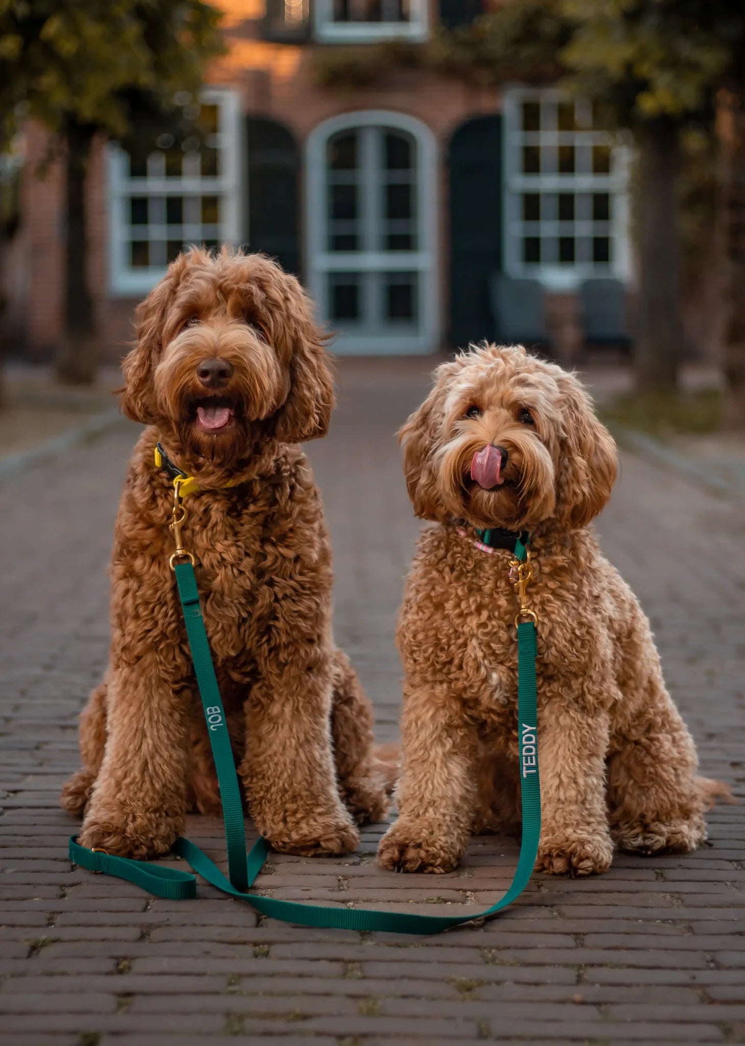 Hunting Green Collar
