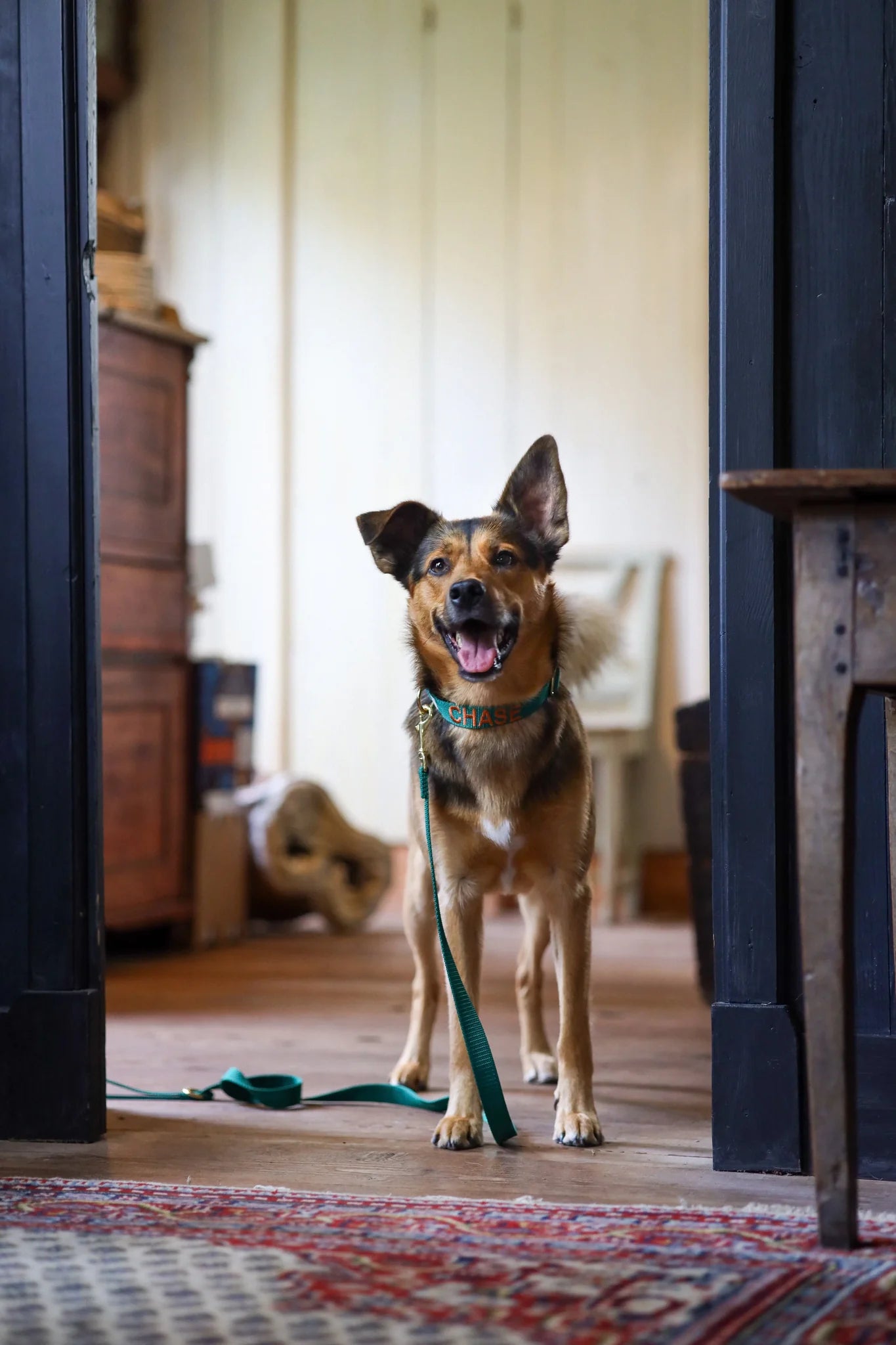 Hunting Green Collar