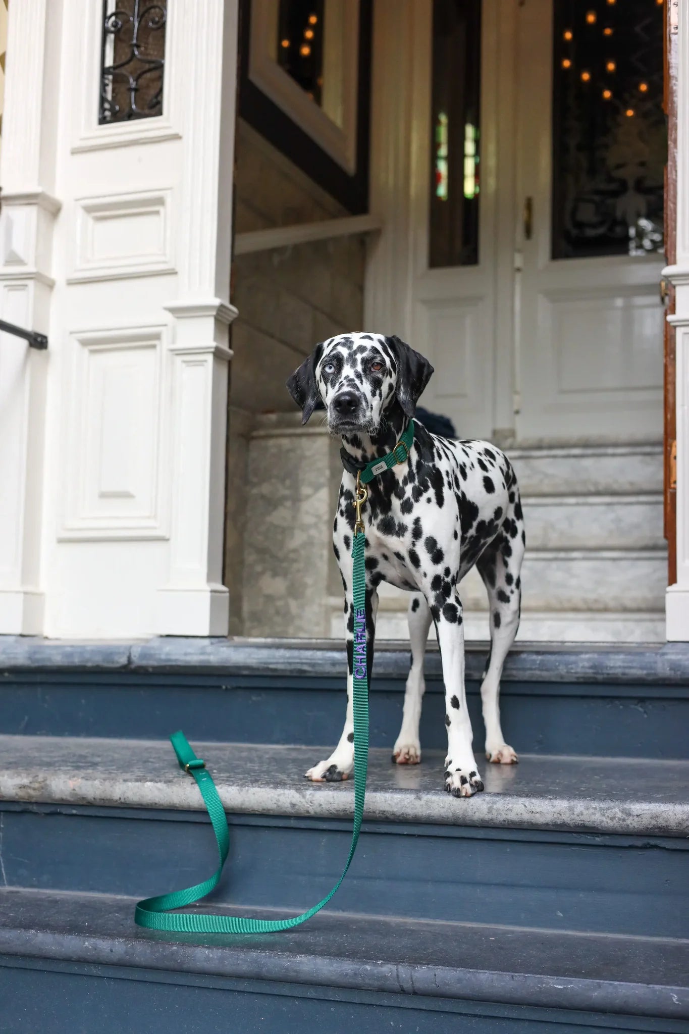 Hunting Green Collar