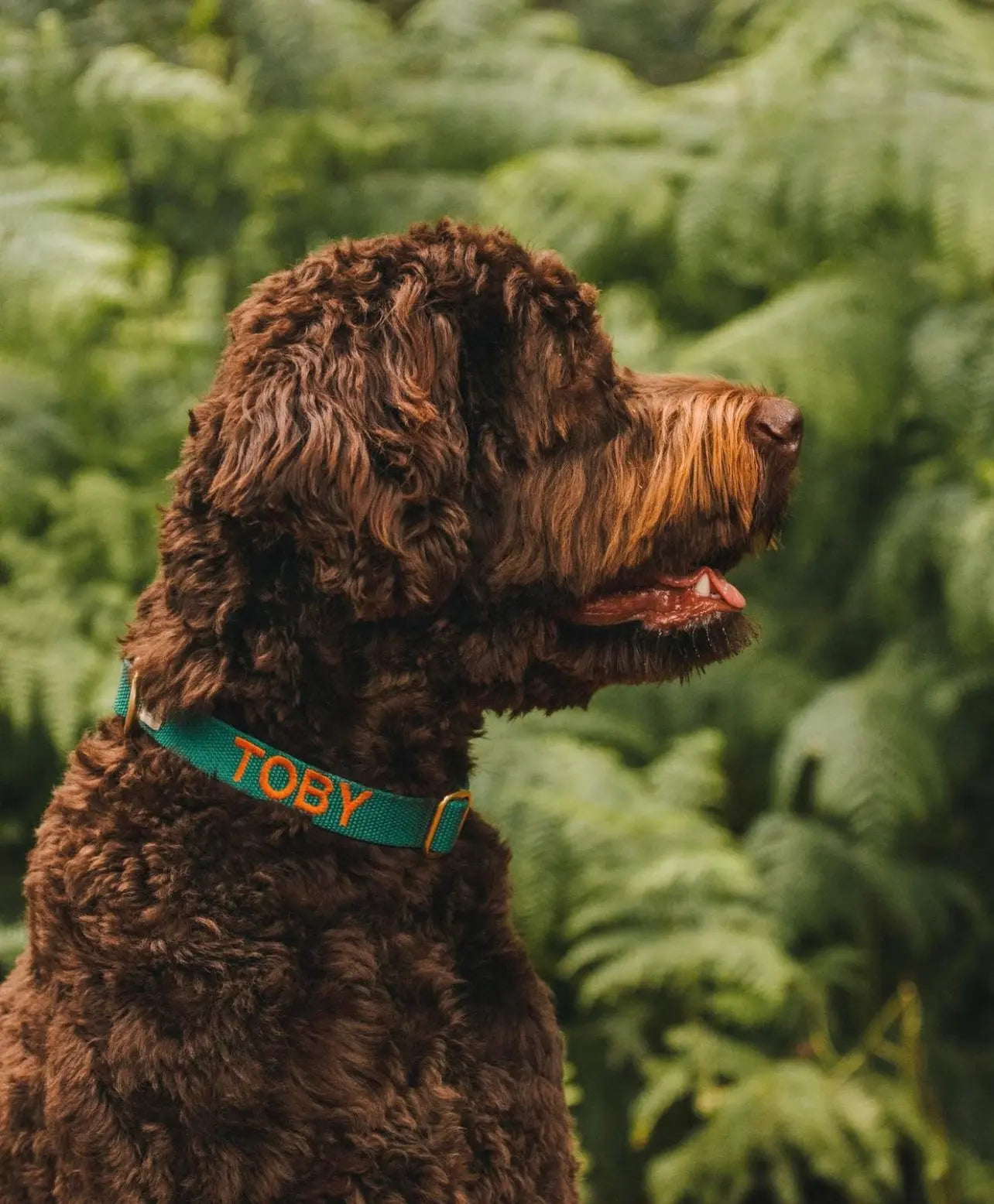 Hunting Green Collar