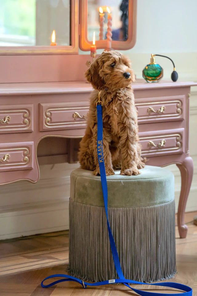 Royal Blue Collar