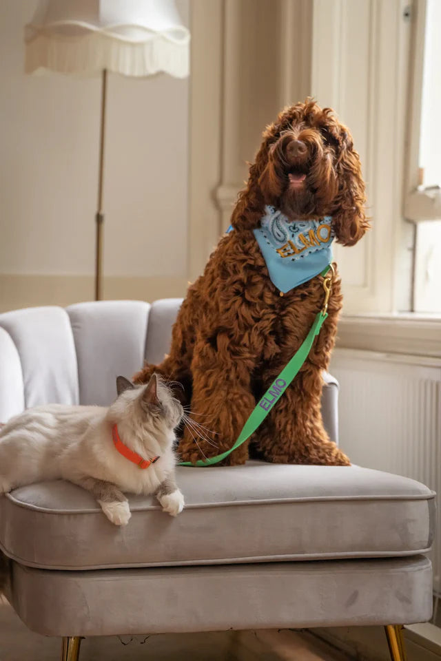 Emerald Green Collar