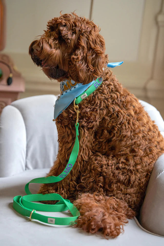 Emerald Green Collar