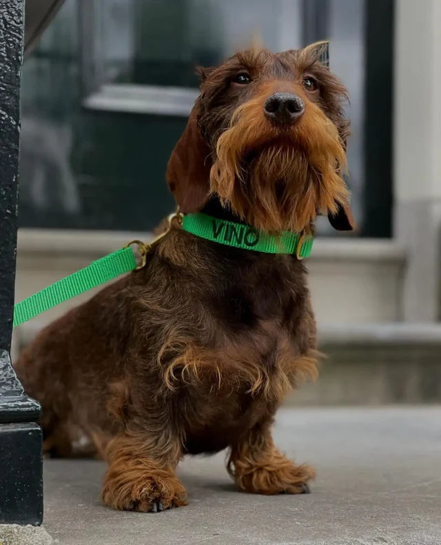 Emerald Green Collar