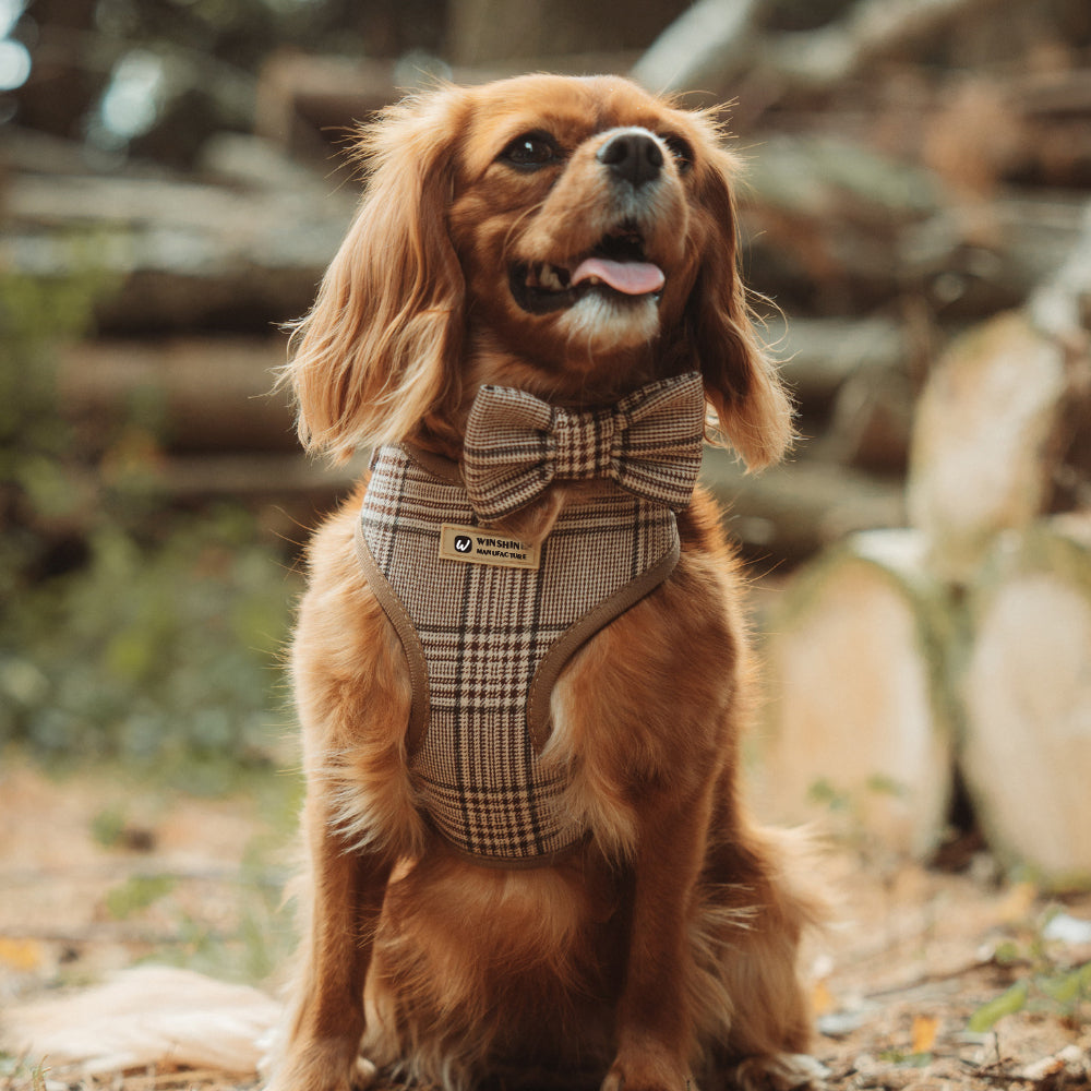 London Plaid