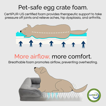 Orthopedic Dog Bed