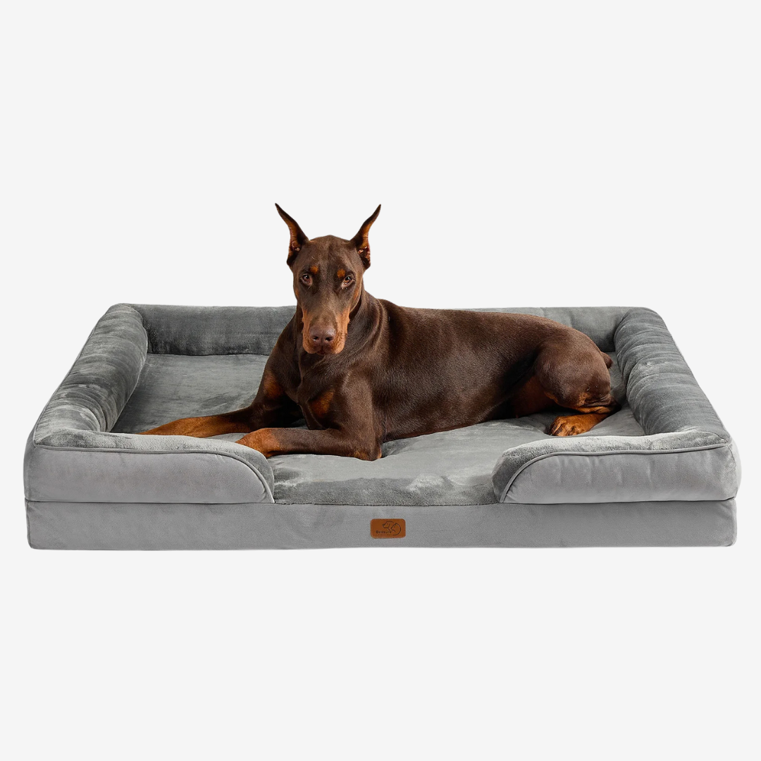 Orthopedic Dog Bed