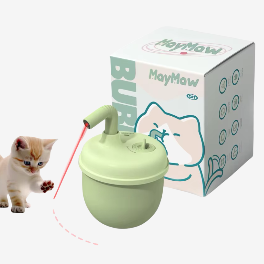 Interactive Cat Laser Toy