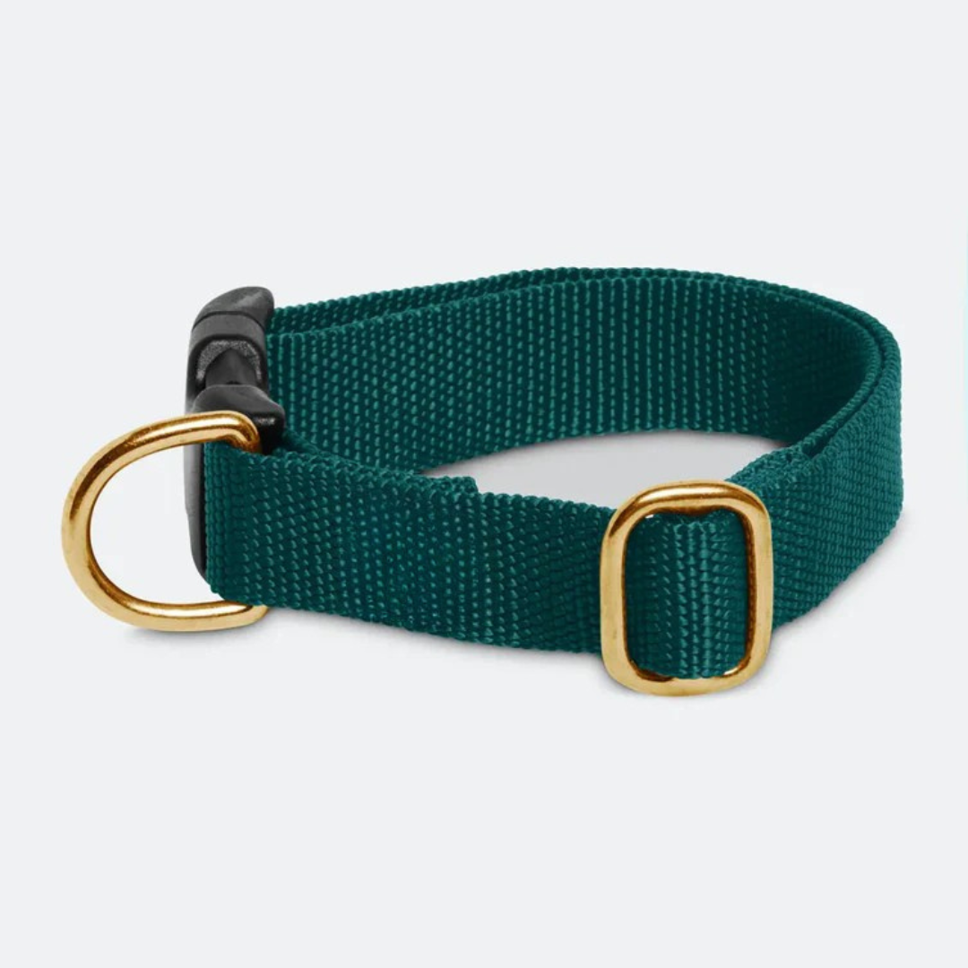 Hunting Green Collar