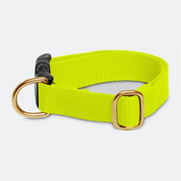 Neon Yellow Collar