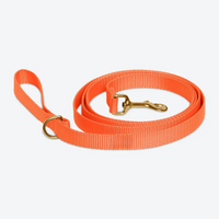 Orange Leash