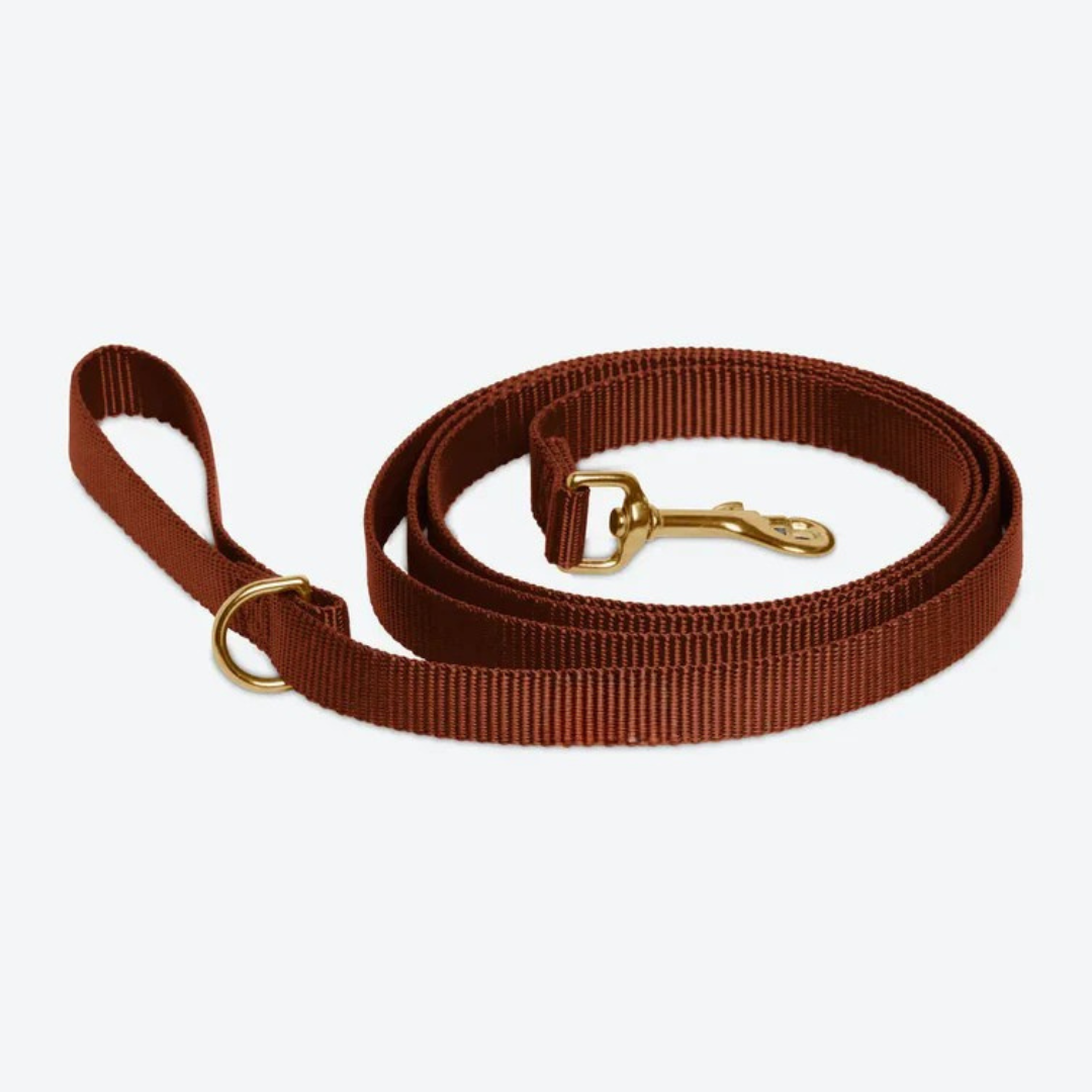 Brown Leash