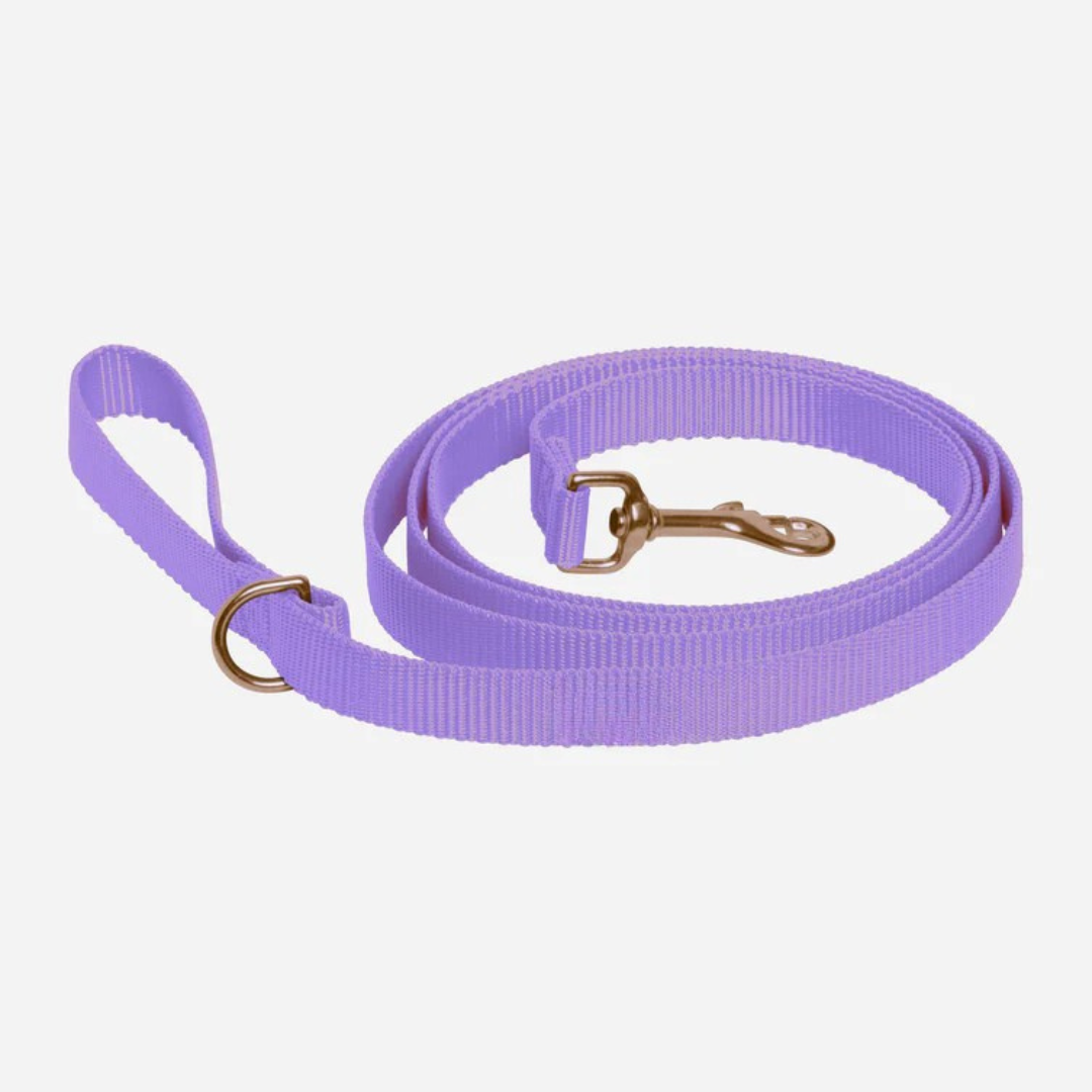 Lavender Leash