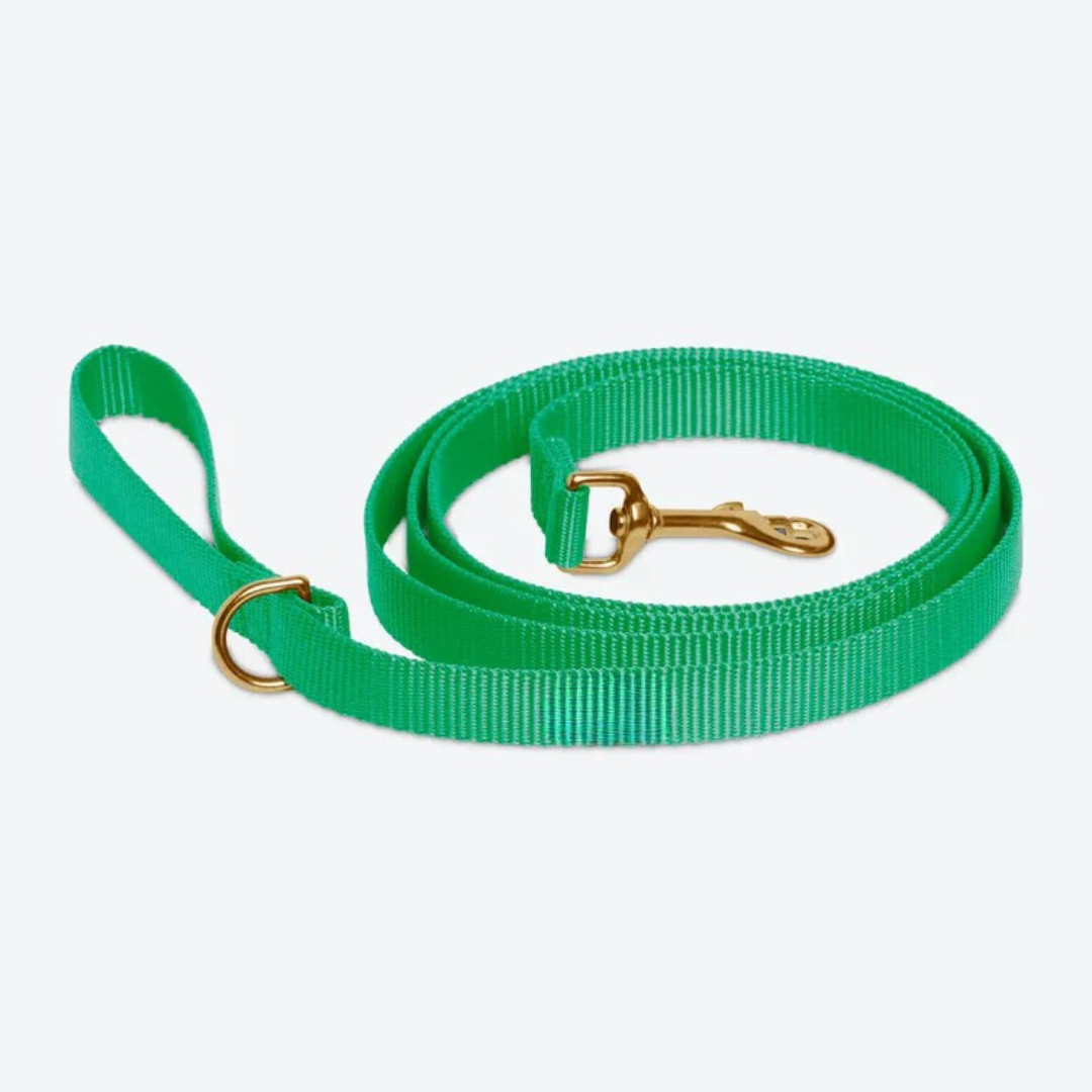 Emerald Green Leash