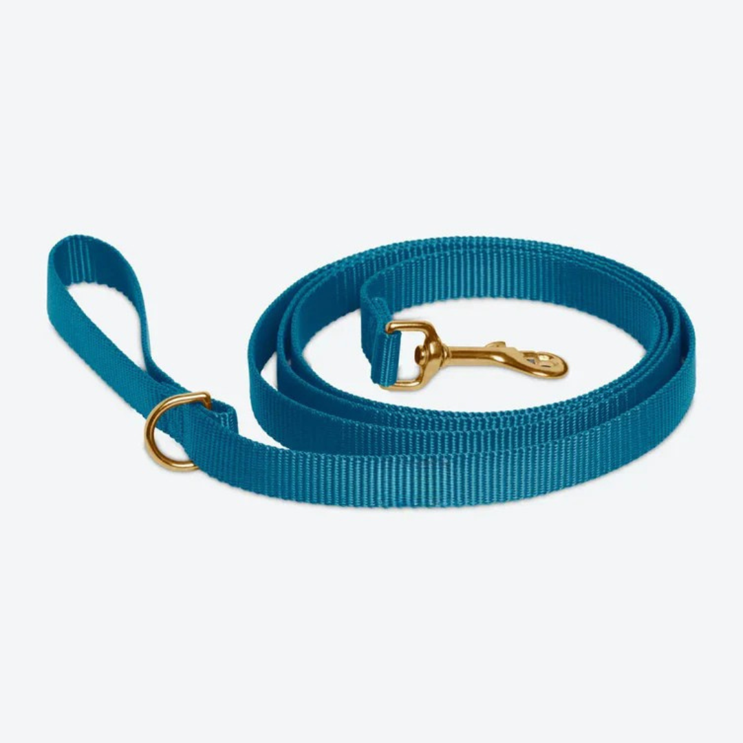 Ocean Blue Leash