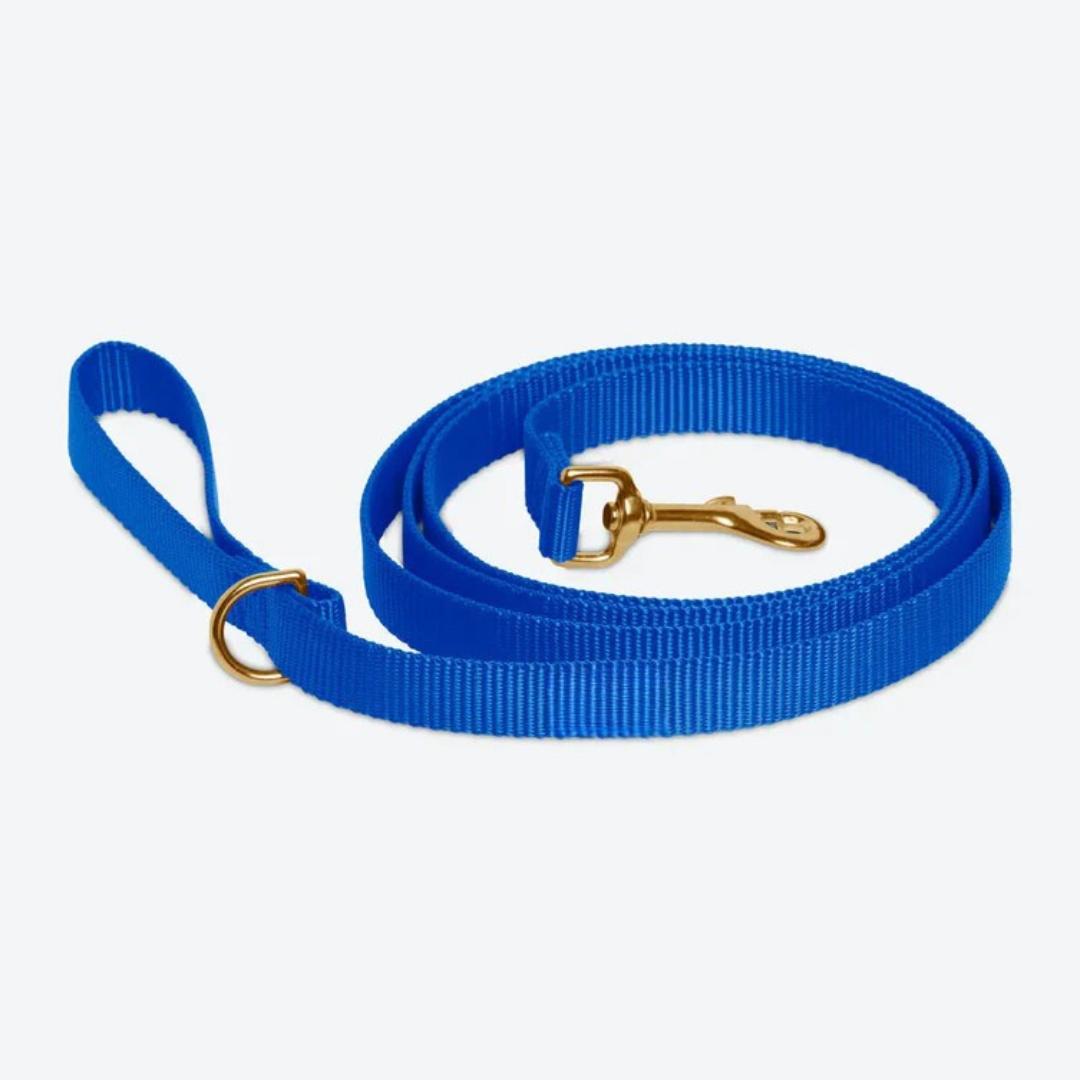 Royal Blue Leash