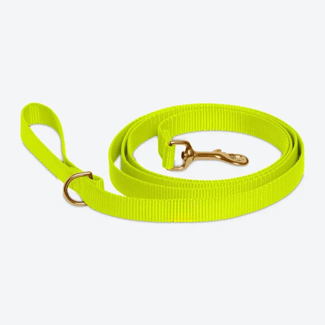 Neon Yellow Leash
