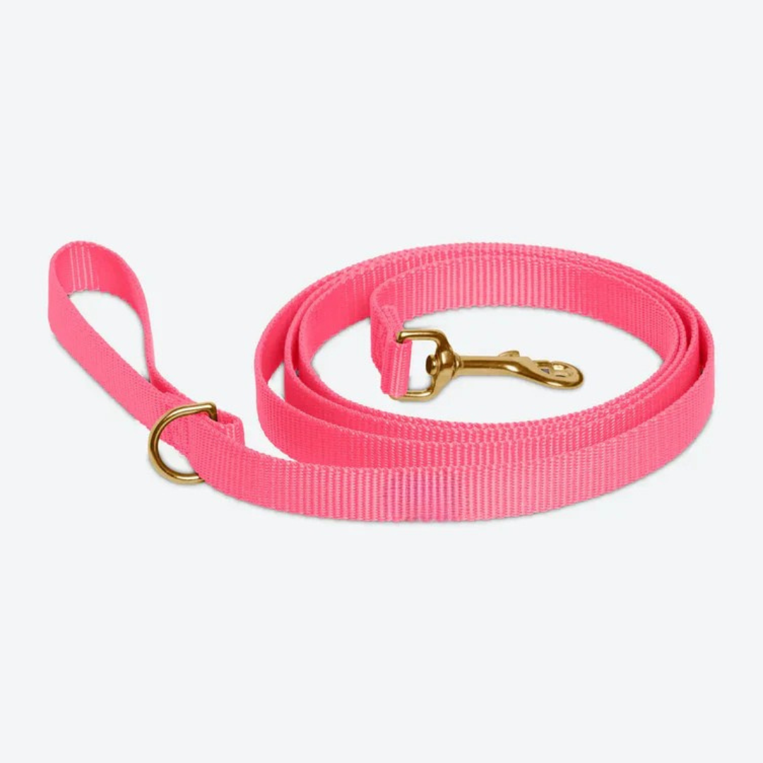 Hot Pink Leash