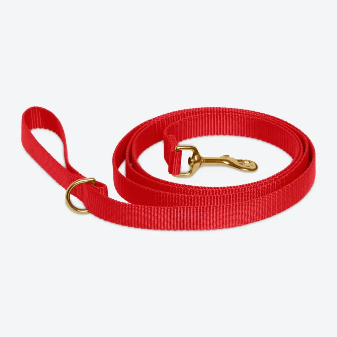 Cherry Red Leash