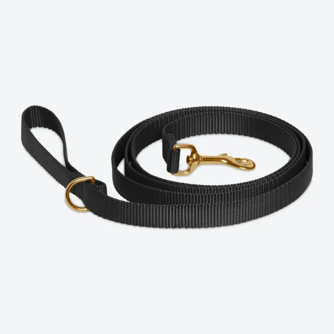 Black Soul Leash