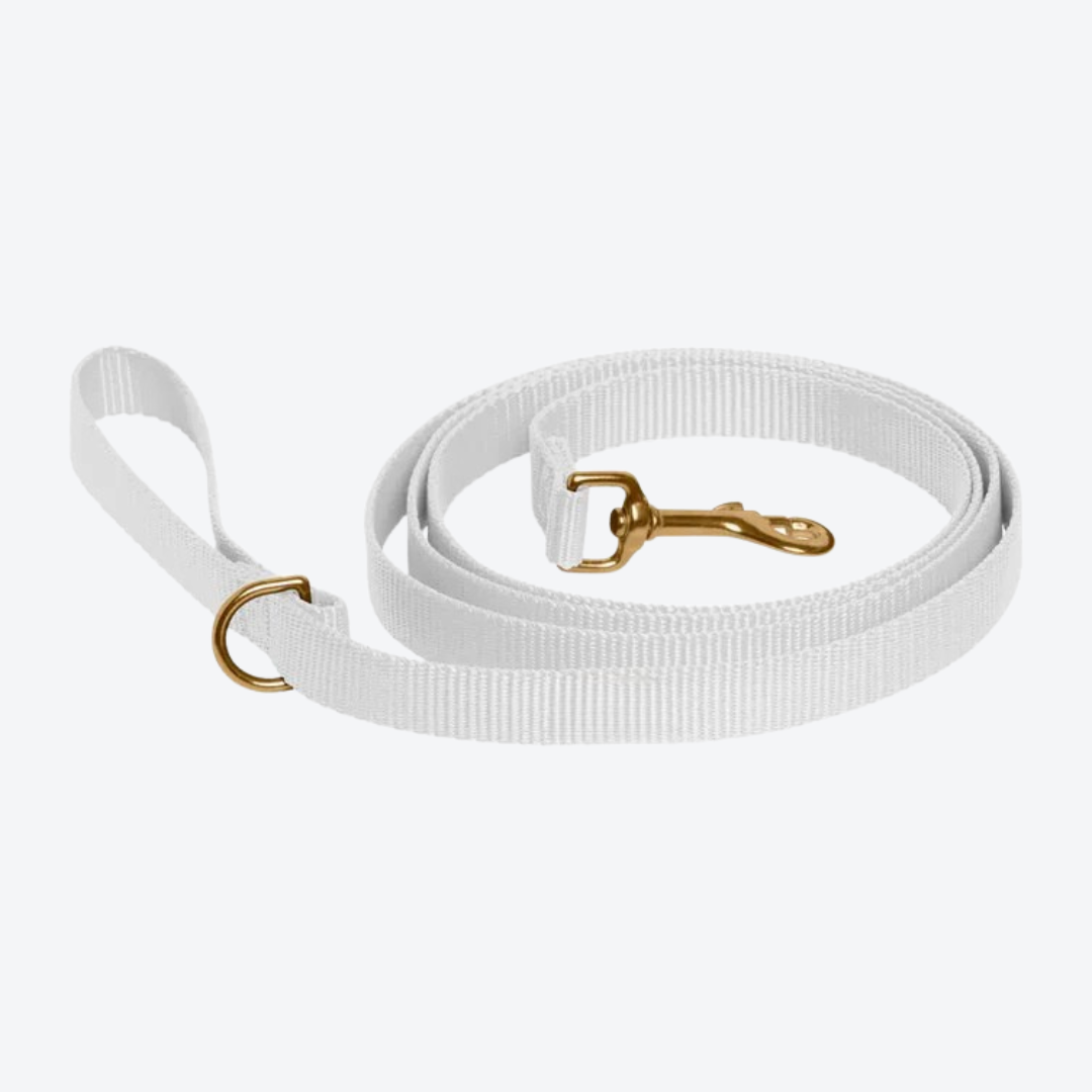 Snow White Leash