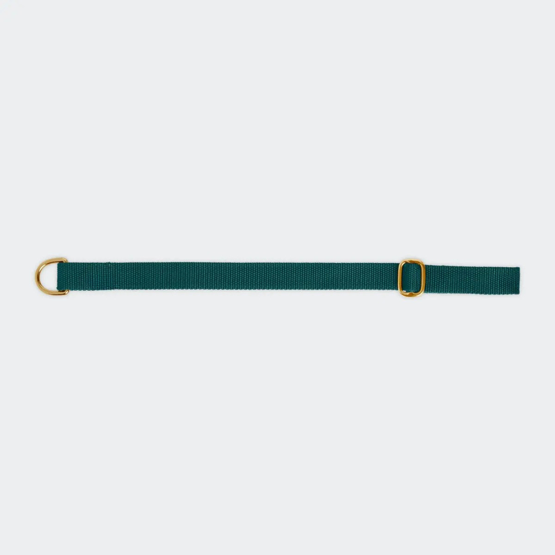Dog collar preview