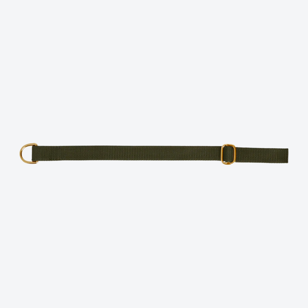 Dog collar preview