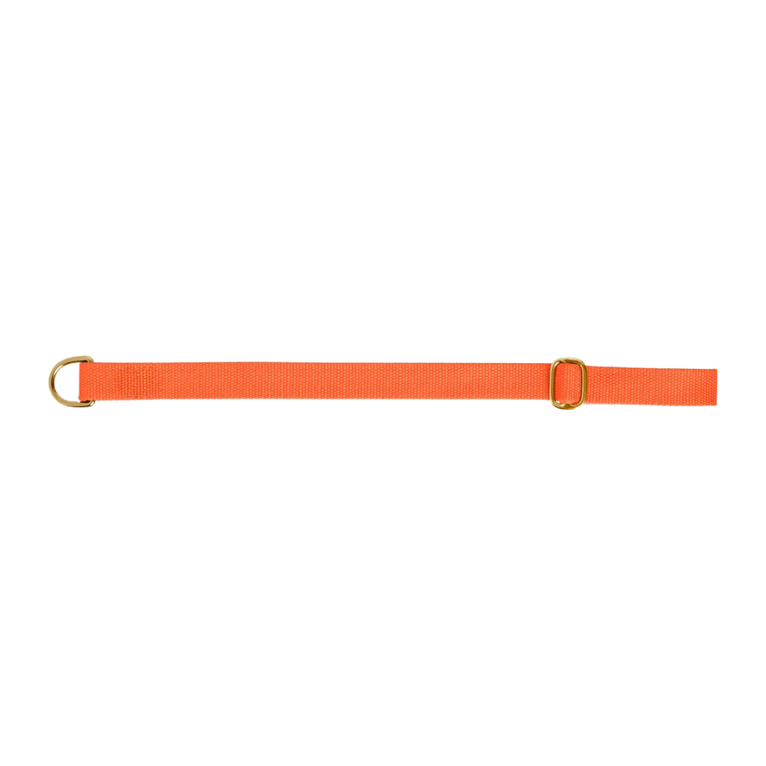 Dog collar preview
