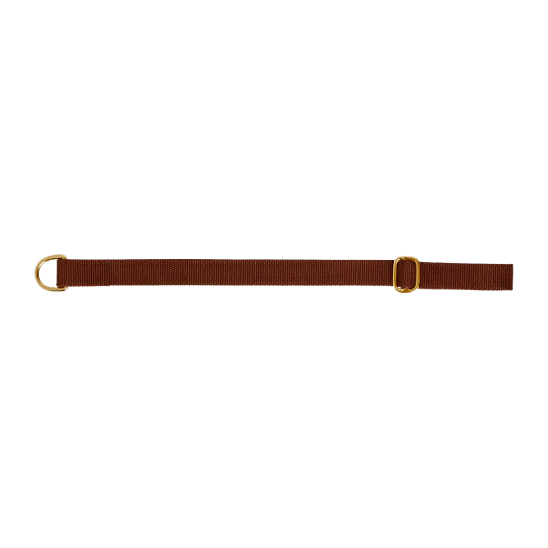 Dog collar preview