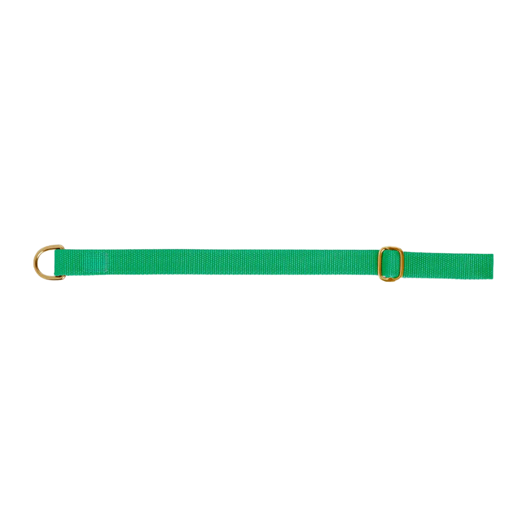 Dog collar preview