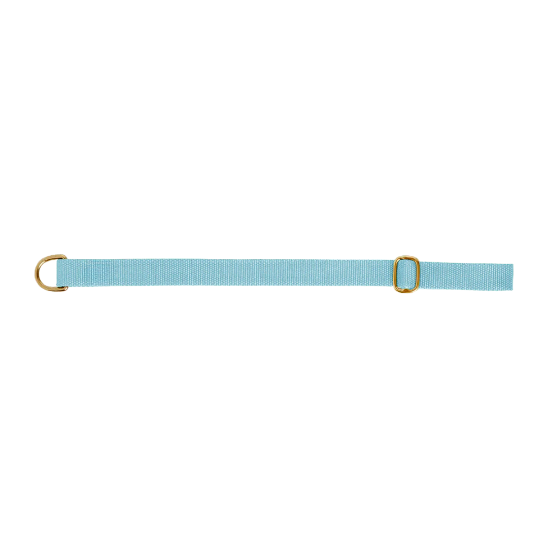 Dog collar preview