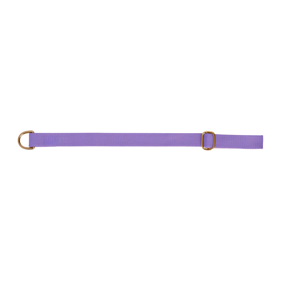 Dog collar preview