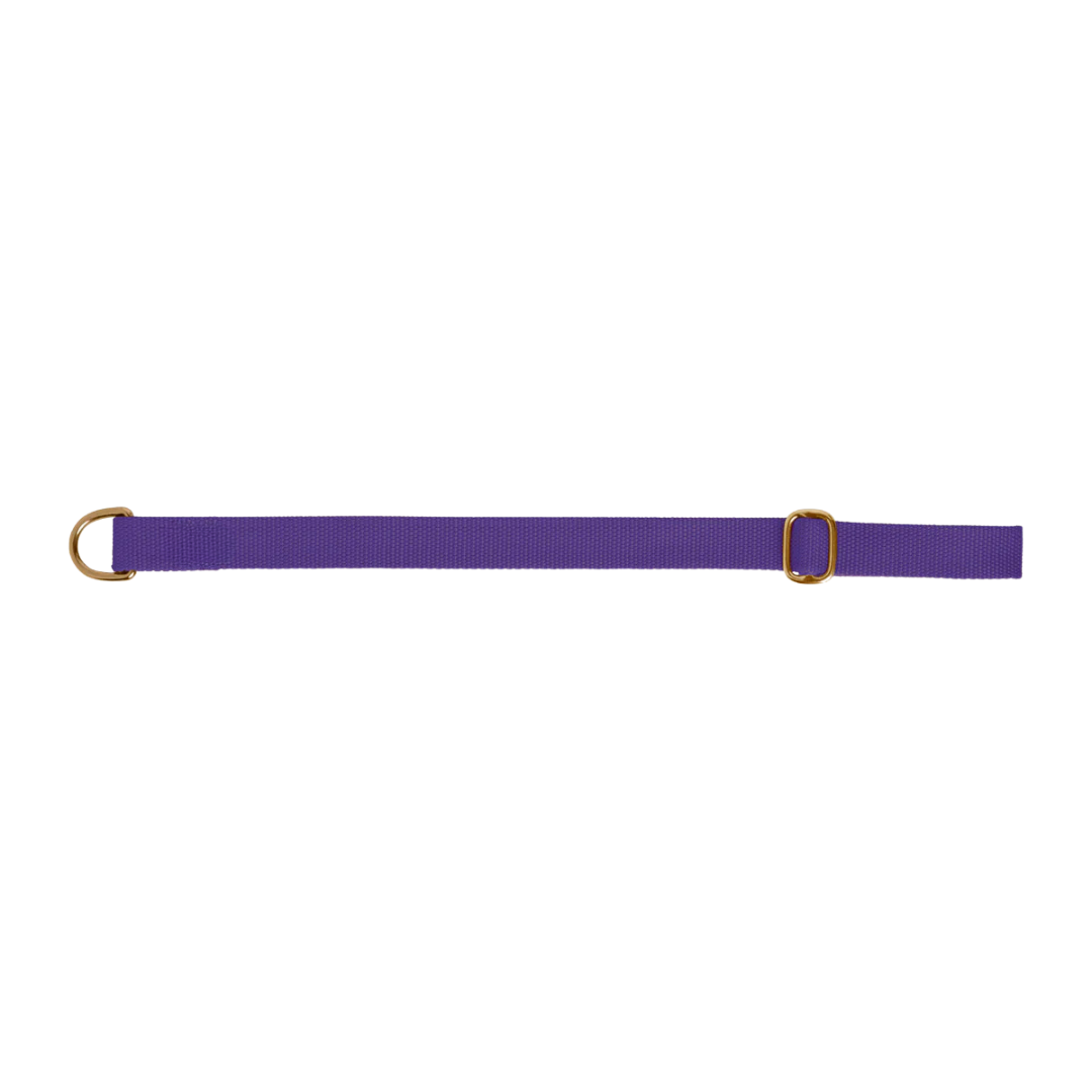 Dog collar preview