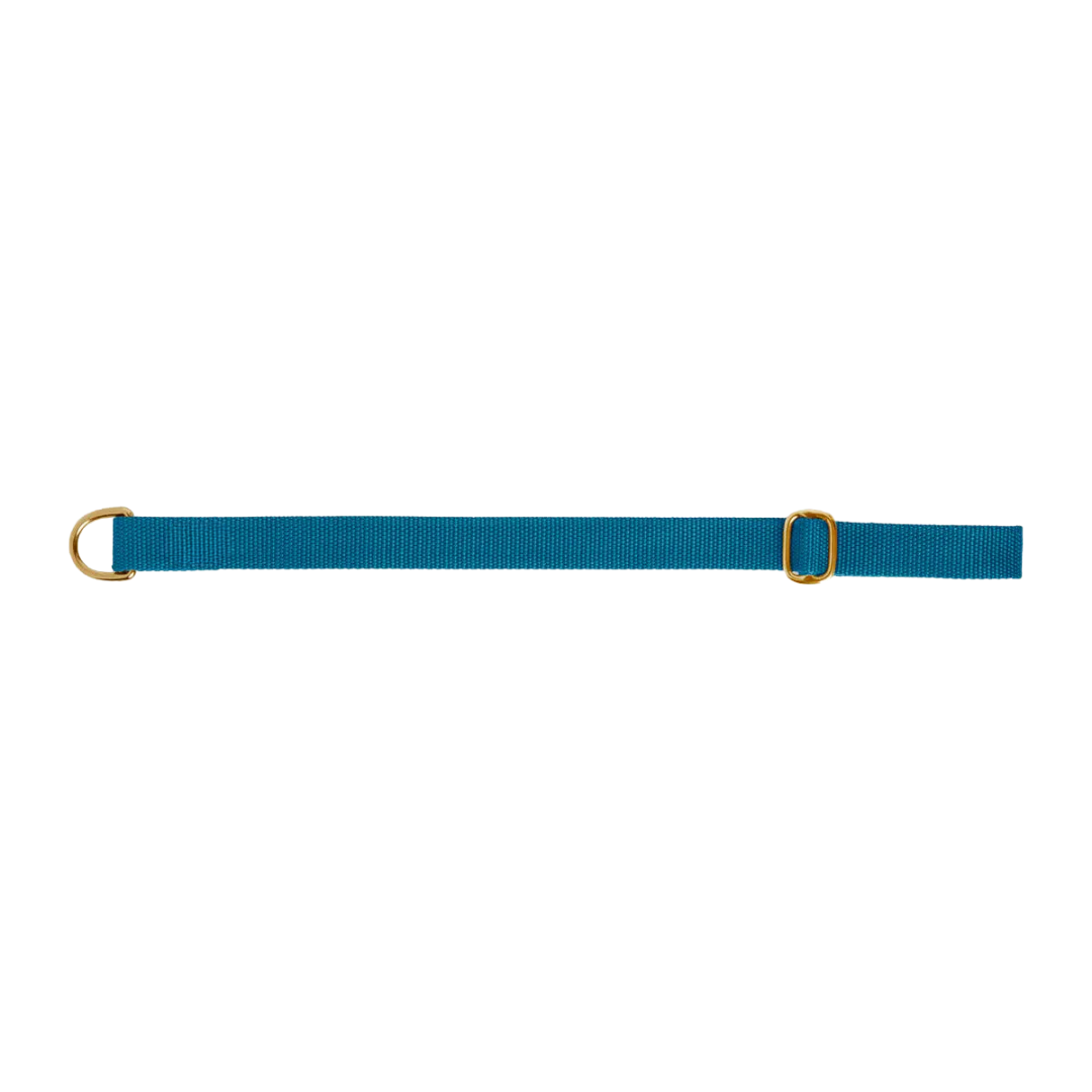 Dog collar preview