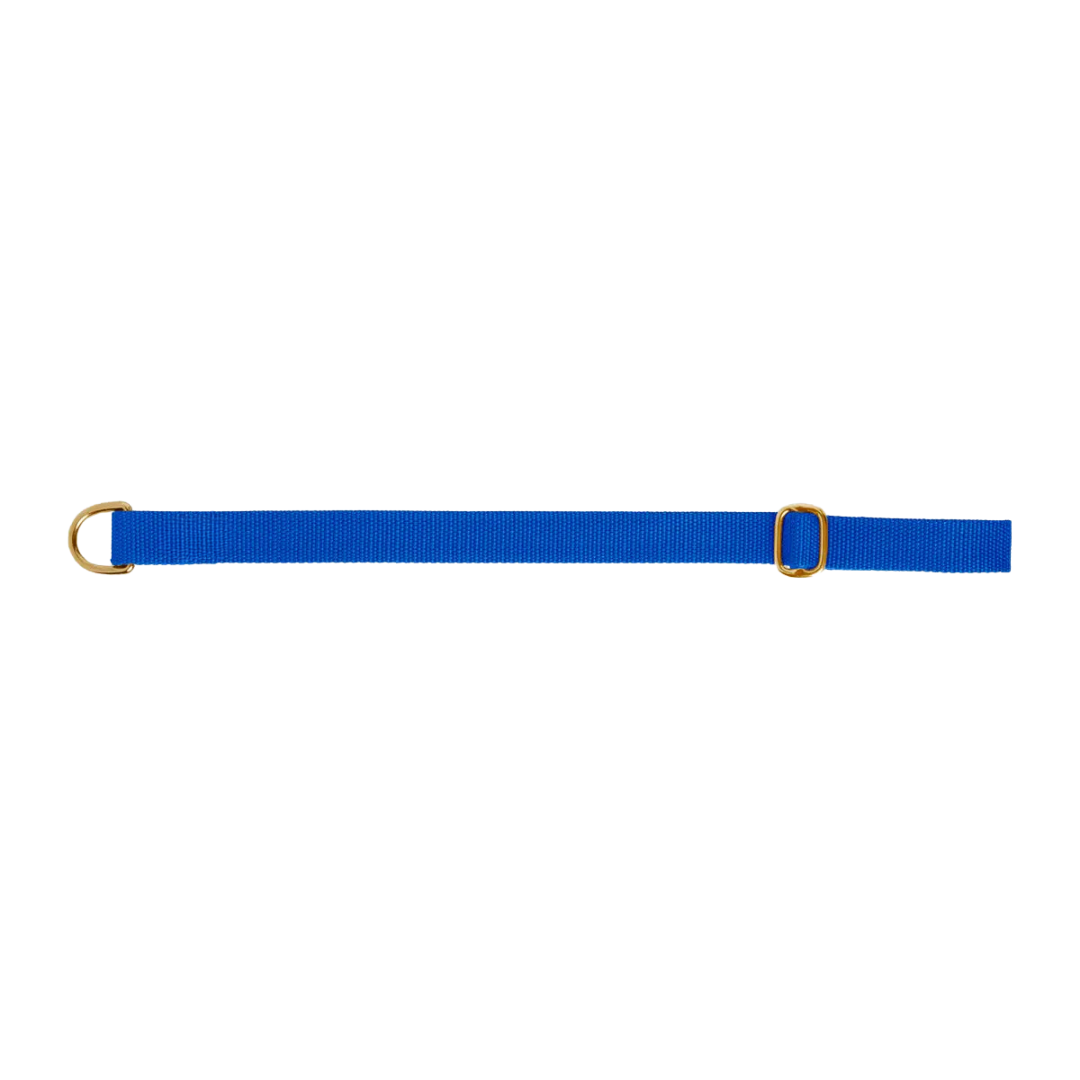 Dog collar preview