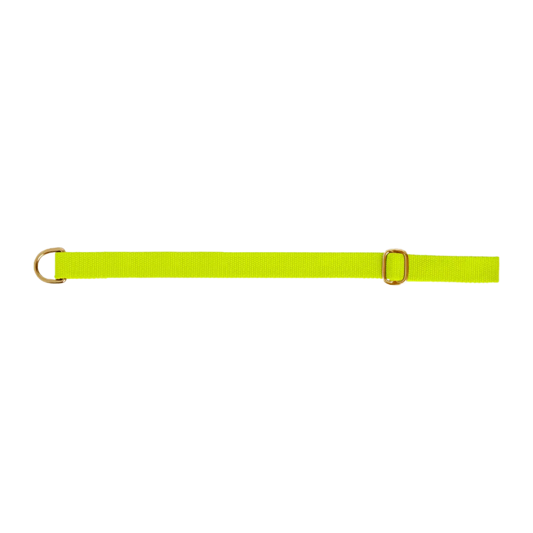 Dog collar preview