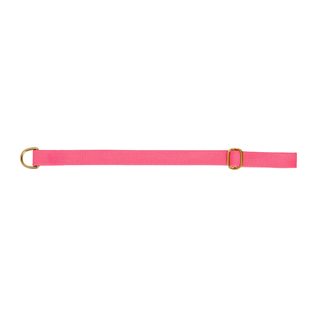 Dog collar preview